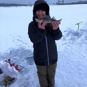 Meet your Posher, Catherine